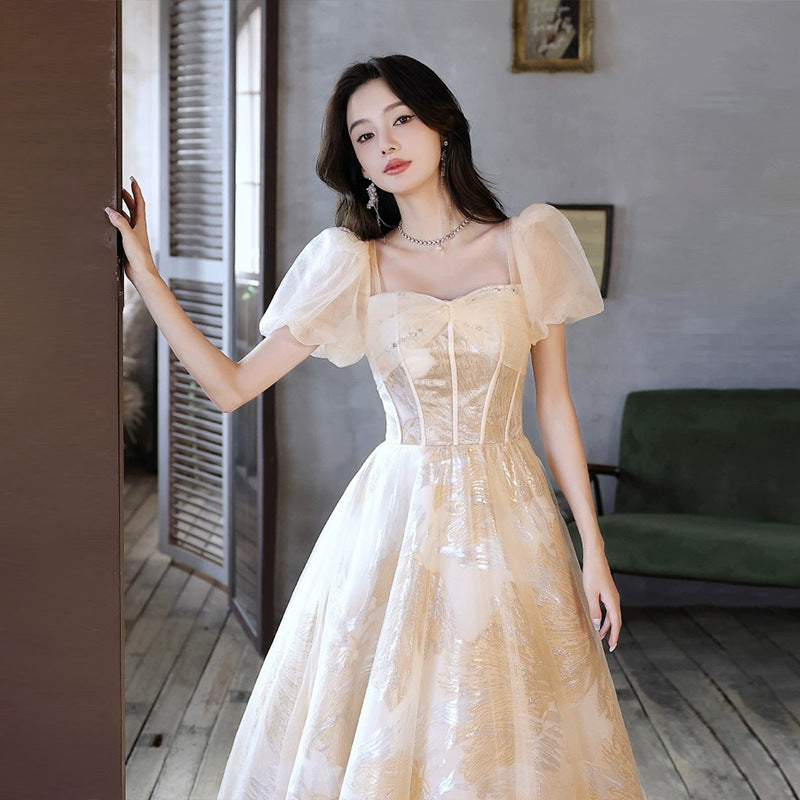 LOVECCR Evening Dress for Women  New Celebrity Princess Style Super Fairy Champagne Gauze Dress Vocal Music Art Test Dress